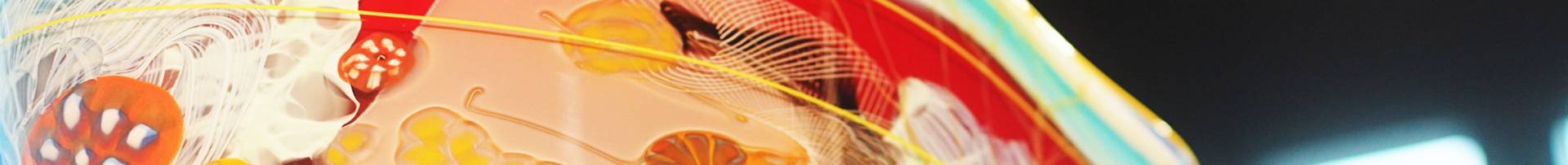 about-header